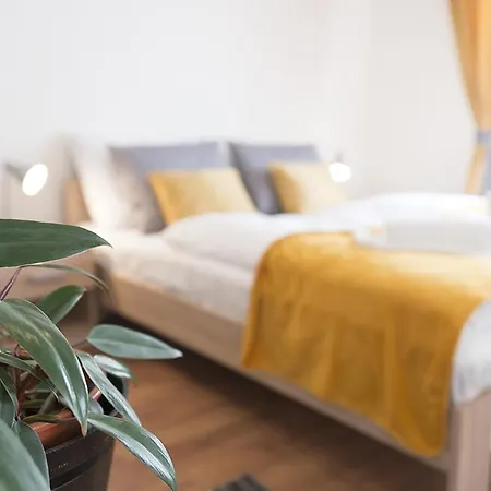 Lucky Angel In Apartment